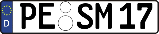 PE-SM17