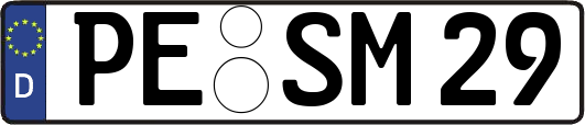 PE-SM29