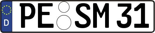 PE-SM31