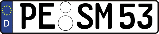 PE-SM53