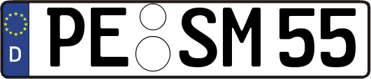 PE-SM55