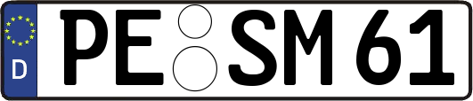 PE-SM61