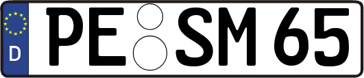 PE-SM65
