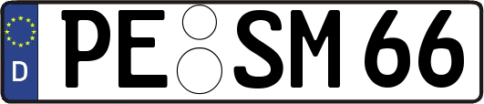 PE-SM66