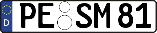 PE-SM81