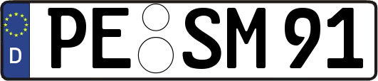 PE-SM91