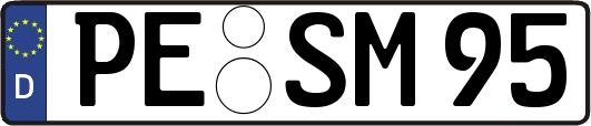 PE-SM95