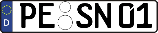 PE-SN01