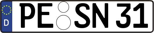 PE-SN31