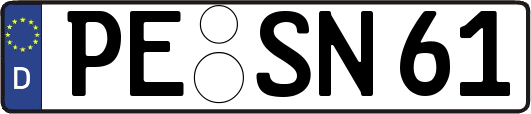 PE-SN61