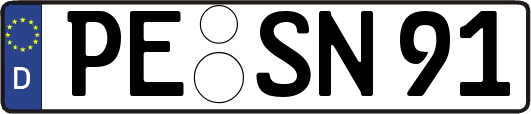 PE-SN91