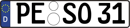 PE-SO31