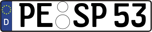 PE-SP53