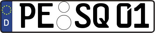 PE-SQ01