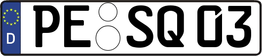 PE-SQ03