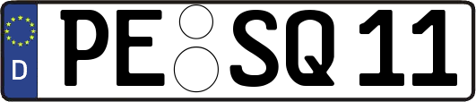 PE-SQ11