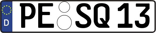 PE-SQ13