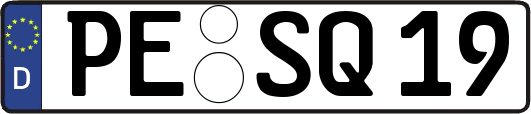 PE-SQ19
