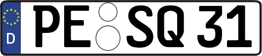 PE-SQ31