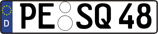 PE-SQ48