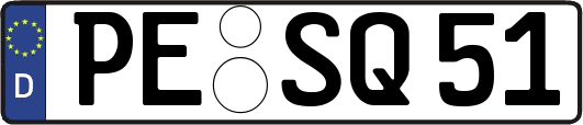 PE-SQ51