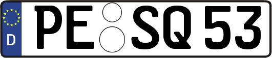PE-SQ53