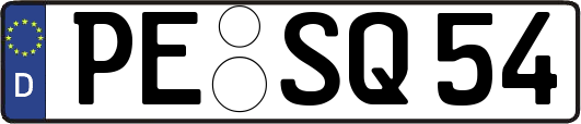 PE-SQ54