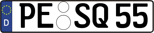 PE-SQ55