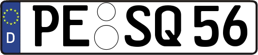 PE-SQ56