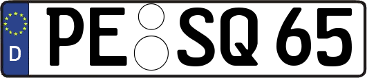 PE-SQ65