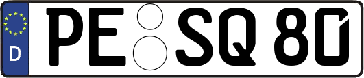 PE-SQ80