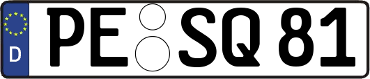 PE-SQ81
