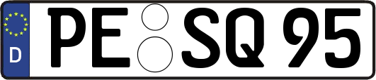 PE-SQ95