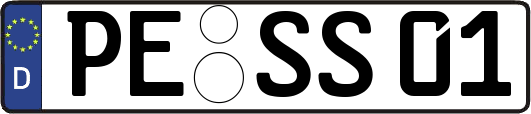 PE-SS01