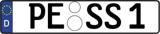 PE-SS1