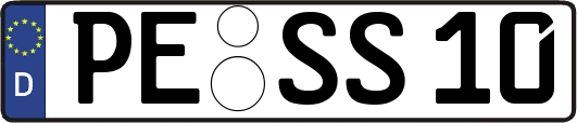 PE-SS10