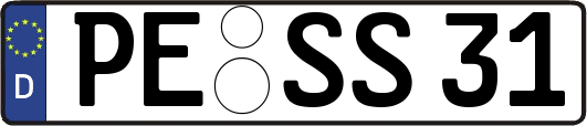 PE-SS31