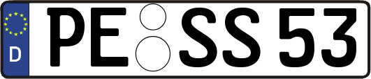 PE-SS53
