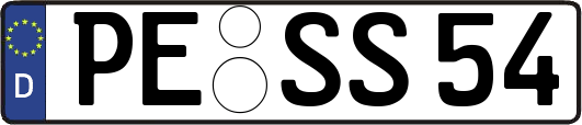 PE-SS54