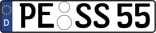 PE-SS55
