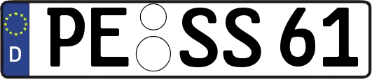 PE-SS61