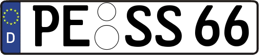 PE-SS66
