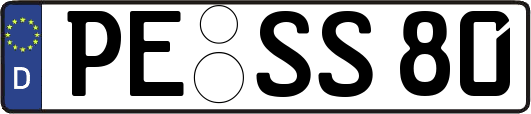 PE-SS80