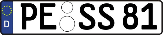PE-SS81