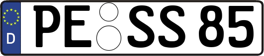 PE-SS85