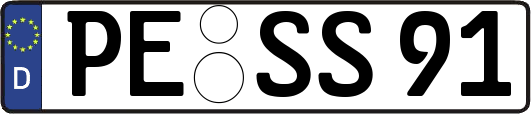 PE-SS91