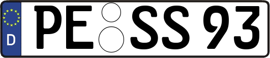 PE-SS93