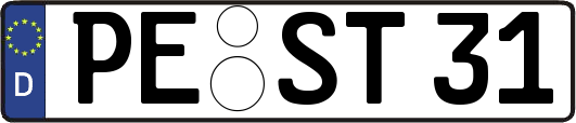 PE-ST31