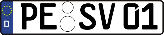 PE-SV01