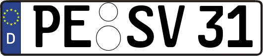 PE-SV31